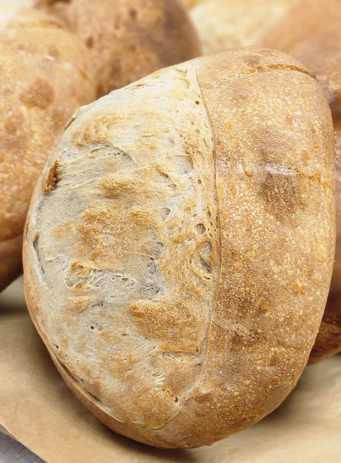 Freshly baked bread · Delicious pastries